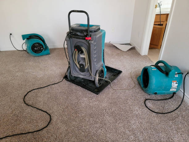 Best Professional water damage repair  in Wailua, HI