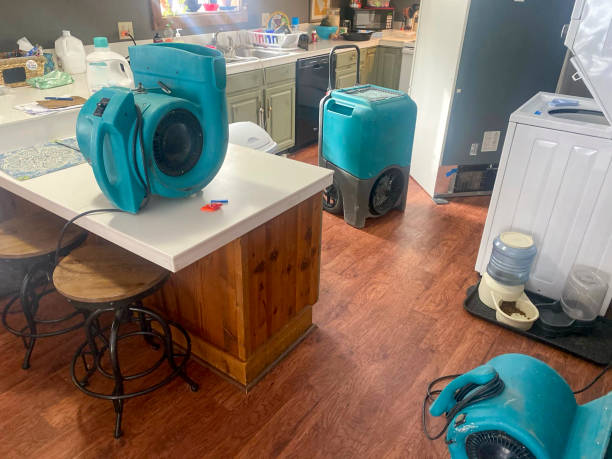 Best Water damage cleanup near me  in Wailua, HI