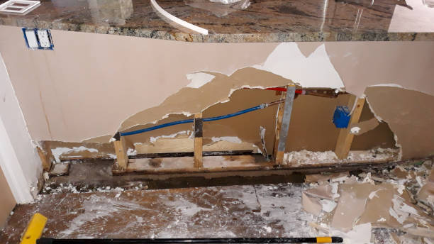 Best Basement water damage restoration  in Wailua, HI