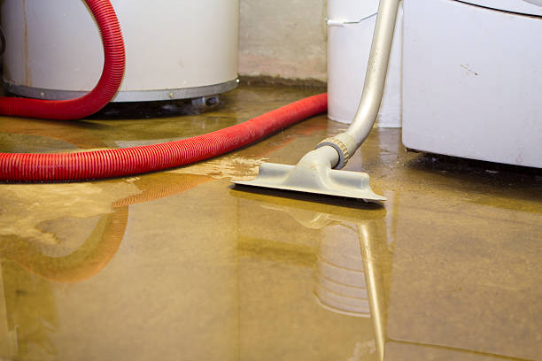 Best 24/7 water damage repair  in Wailua, HI