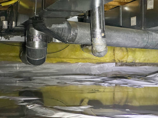  Wailua, HI Water damage restoration Pros
